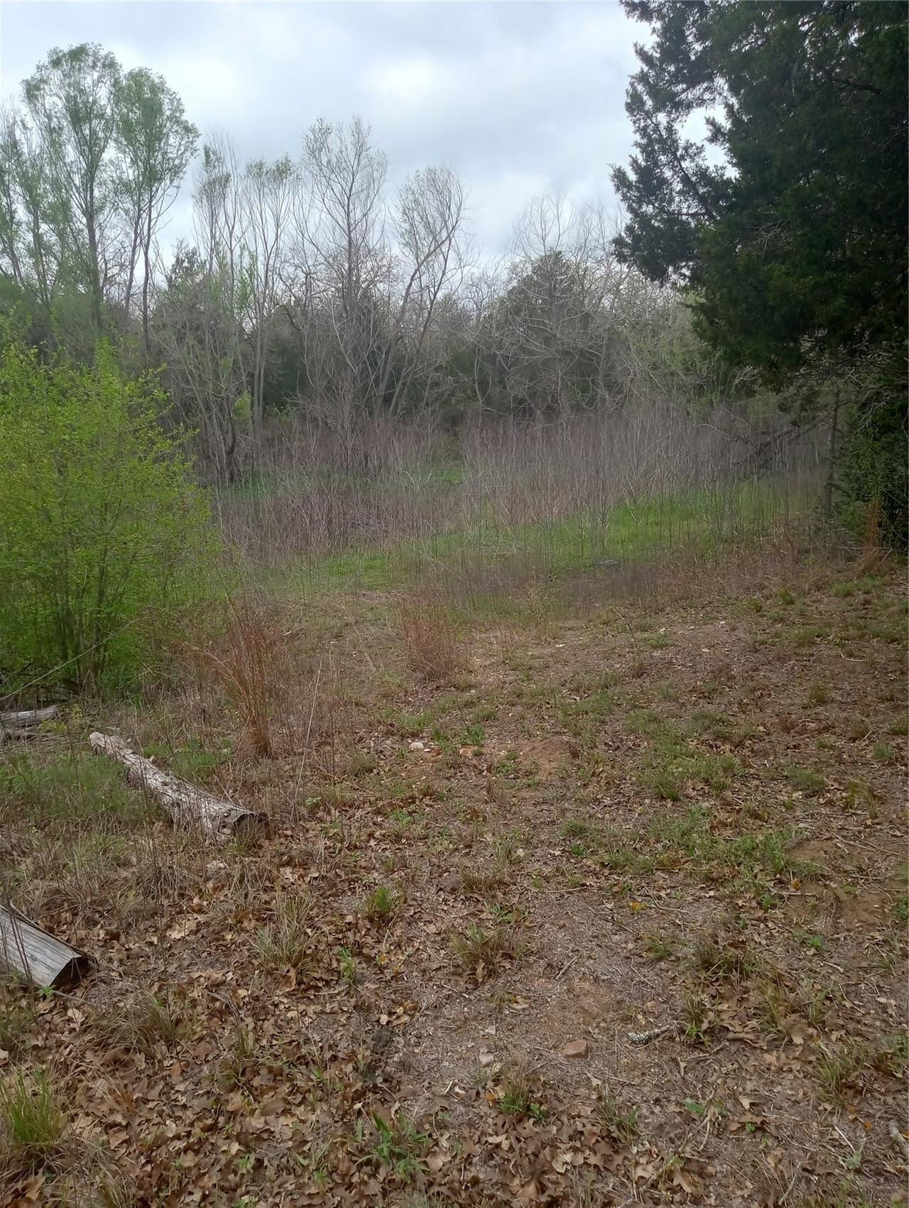 177  Moon Mist Dr photo 6