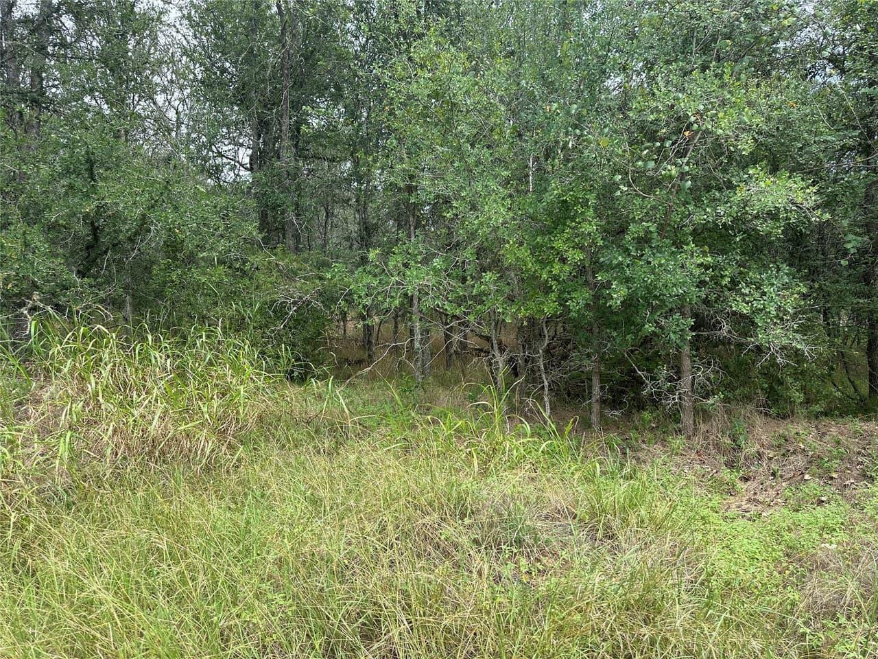 109  Halawa Ct photo 2