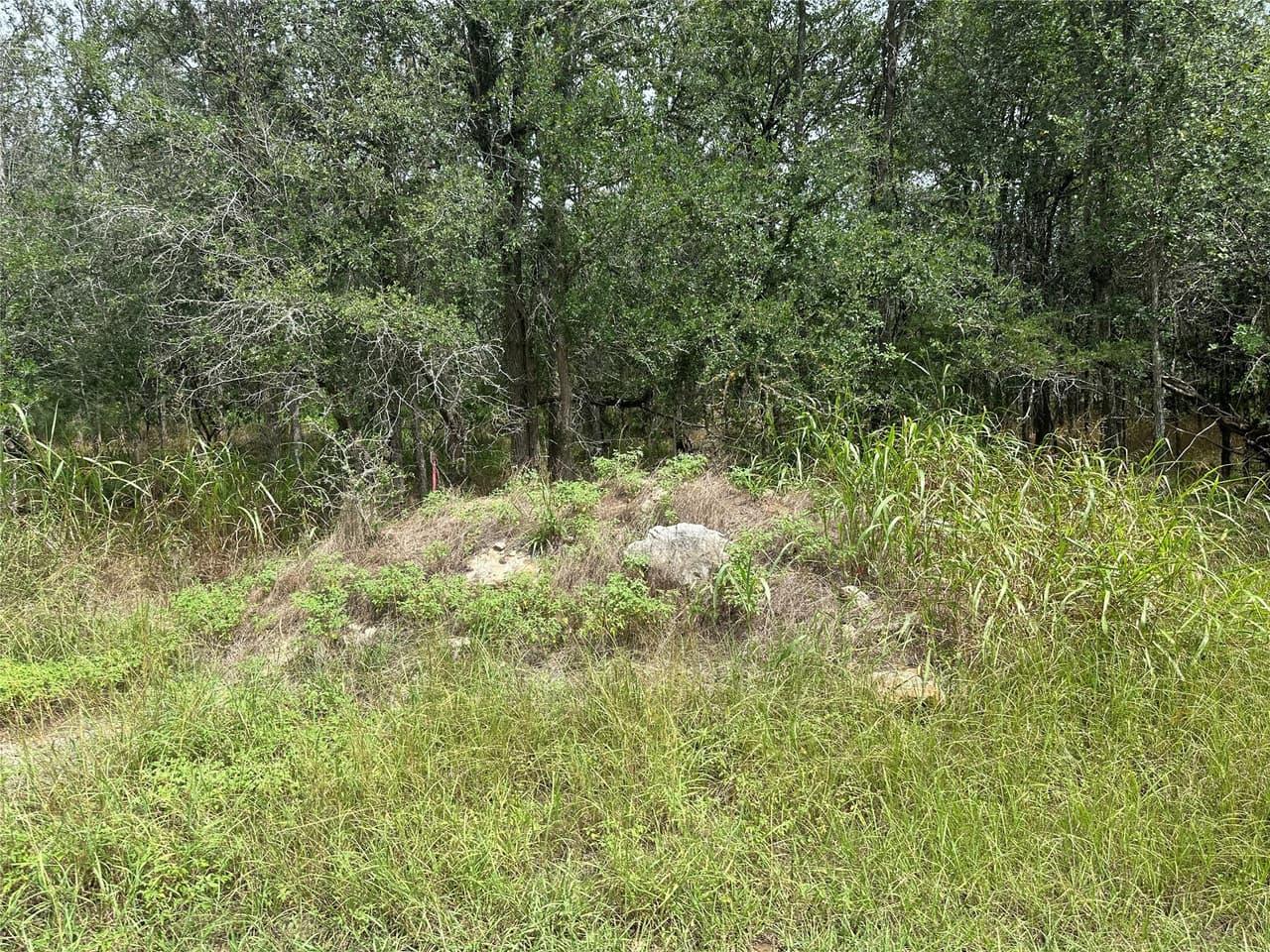109  Halawa Ct photo 4