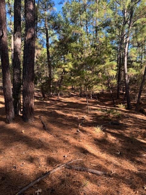 Lot 1395  Kaupa Ct