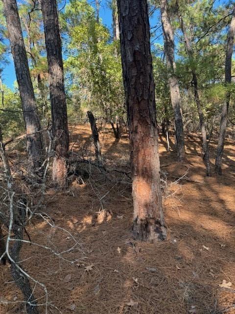 Lot 1395  Kaupa Ct photo 2