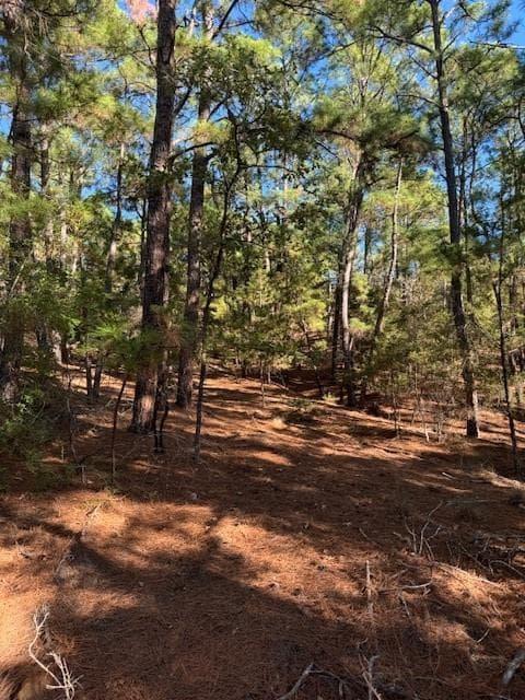 Lot 1395  Kaupa Ct photo 3