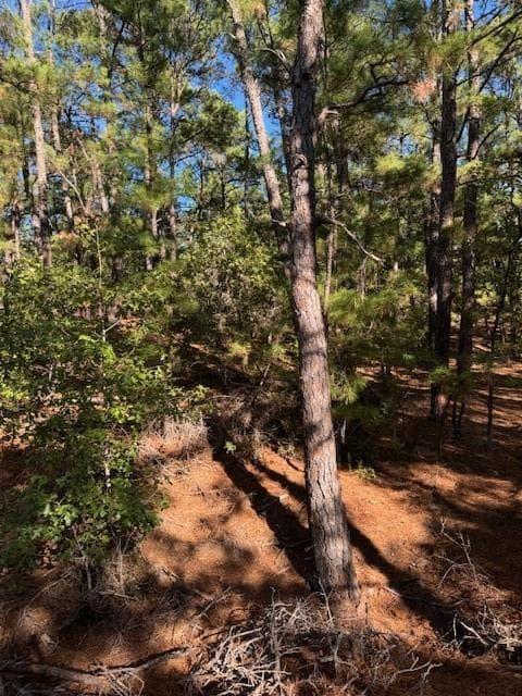 Lot 1395  Kaupa Ct photo 4