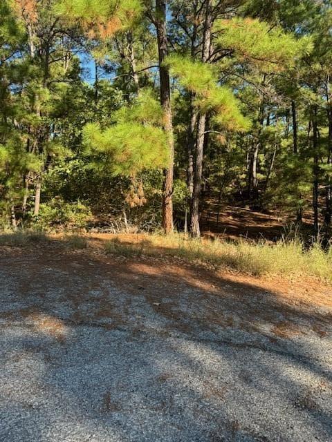 Lot 1395  Kaupa Ct photo 6