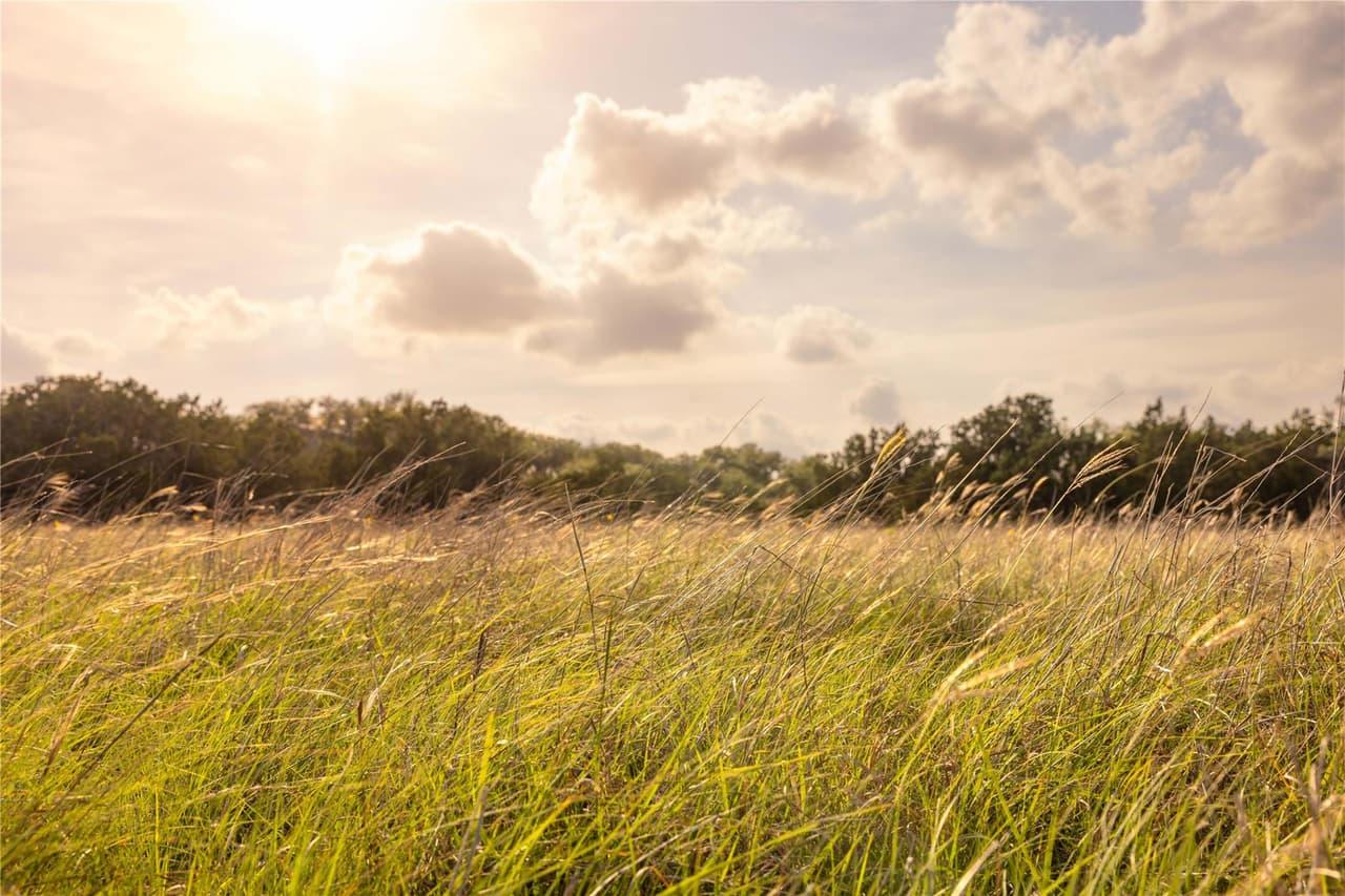 2427  Prochnow Rd photo 5