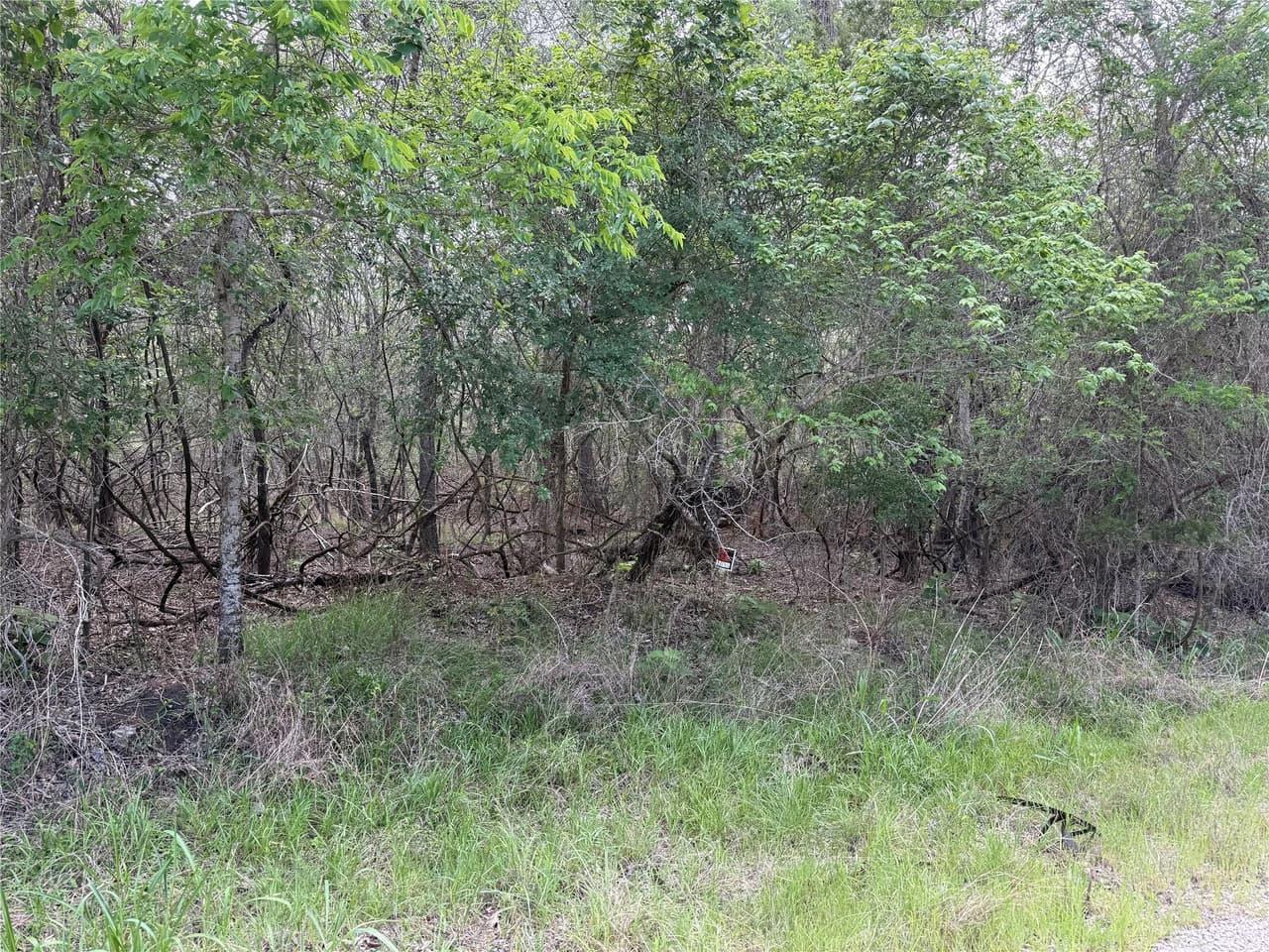 305  Nene Ln