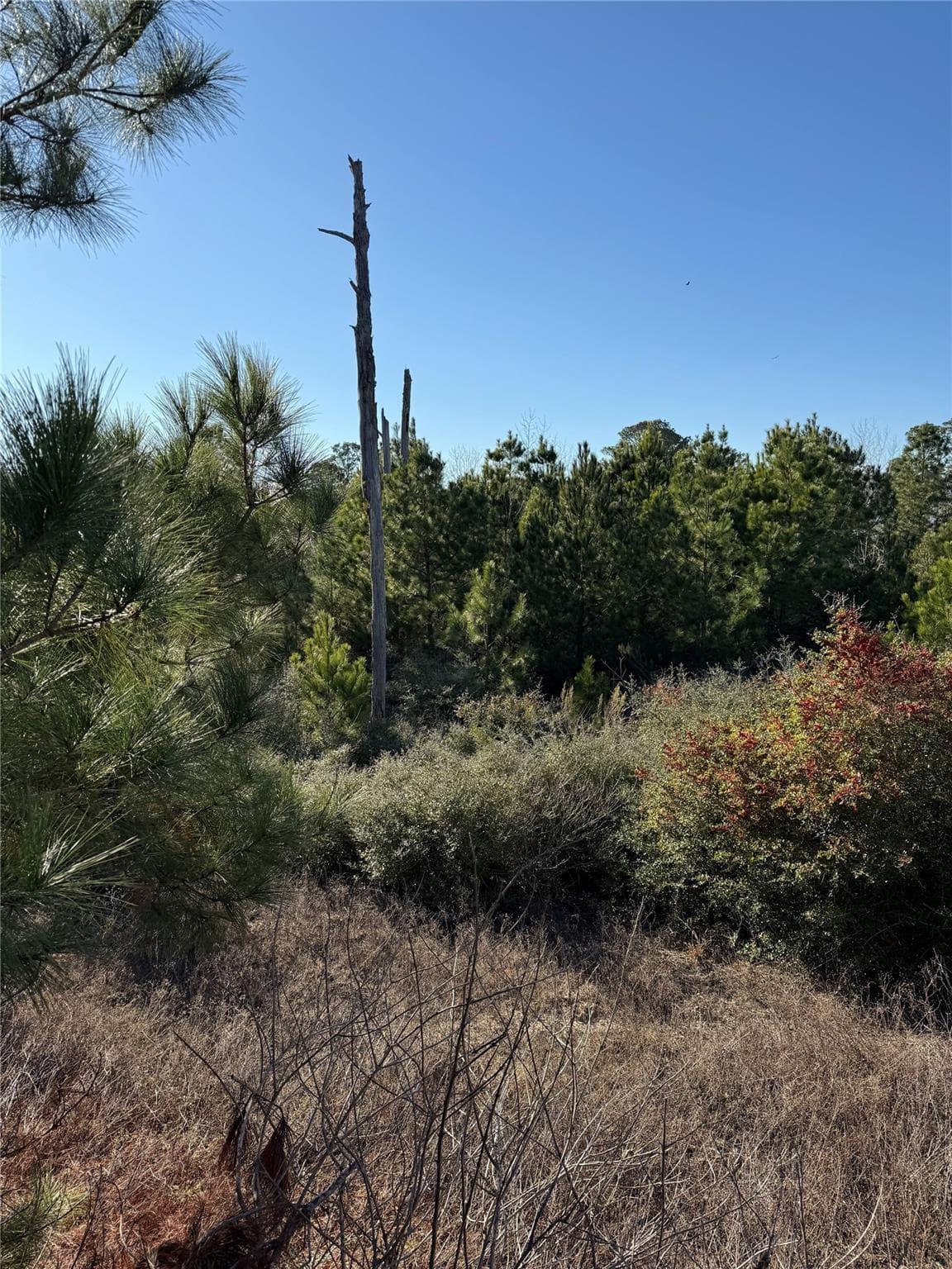 164  Manawianui Dr photo 2