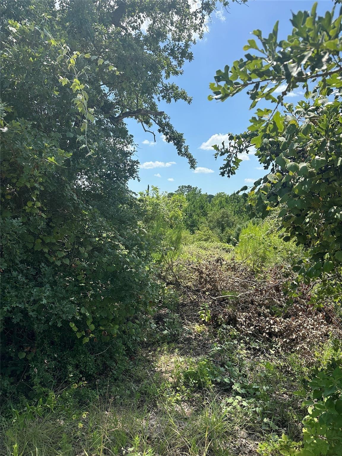 164  Manawianui Dr photo 3