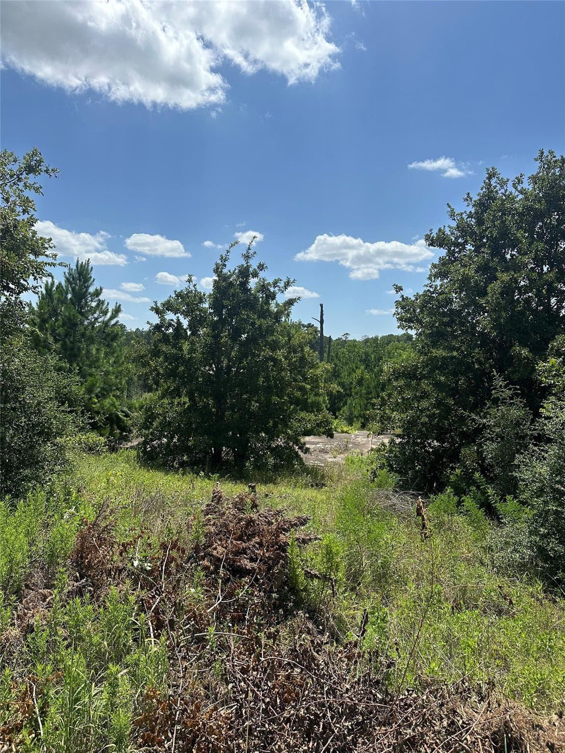 164  Manawianui Dr photo 4