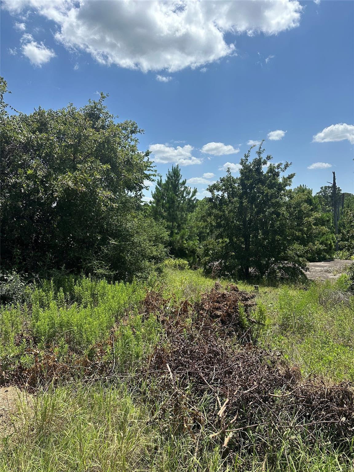 164  Manawianui Dr photo 5