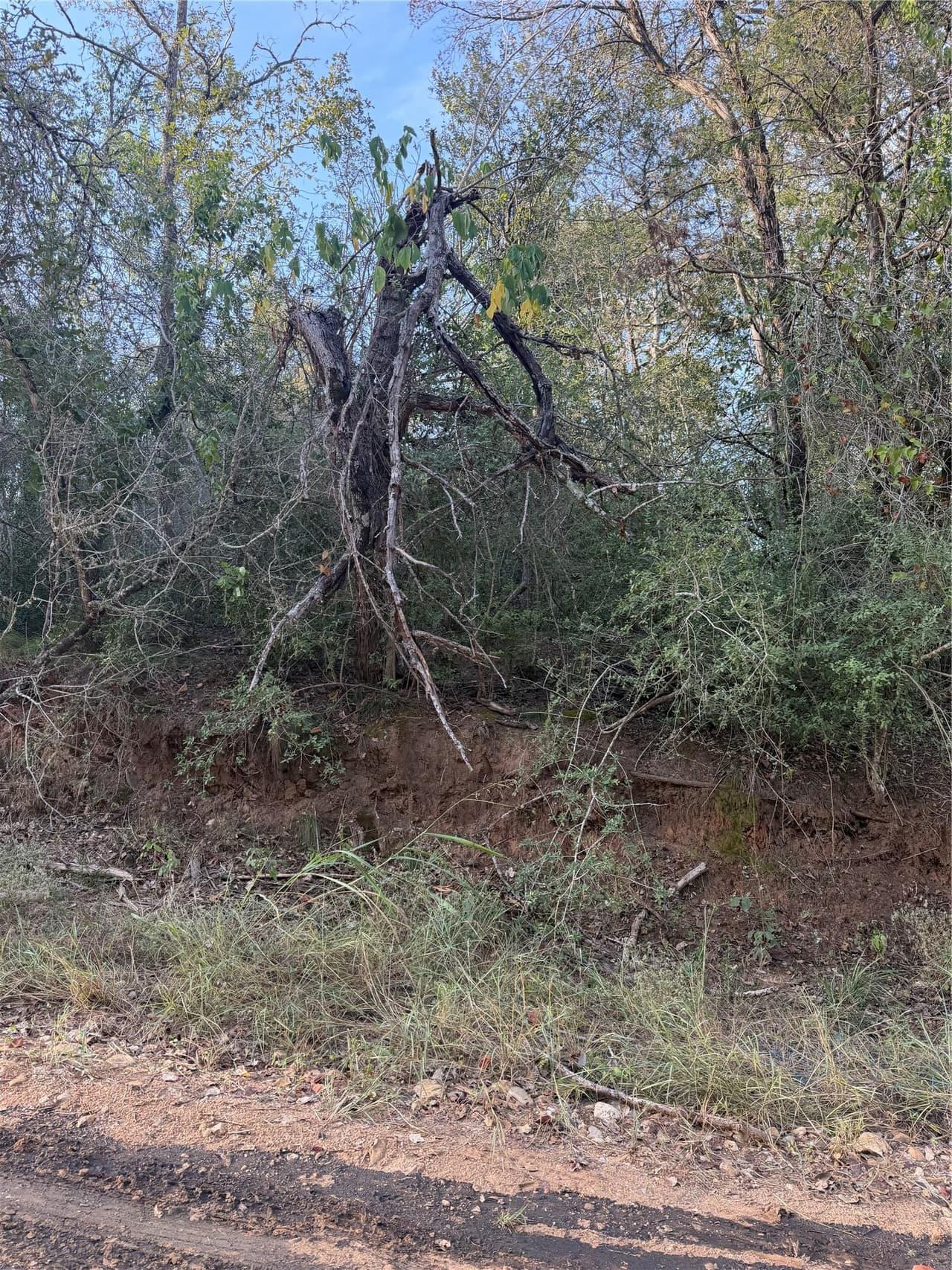 Lot 608  Waimanalo Dr photo 2