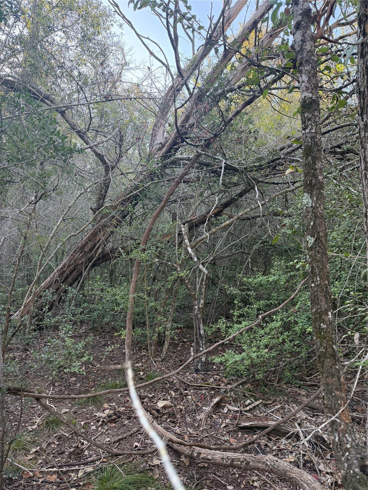 Lot 608  Waimanalo Dr photo 3