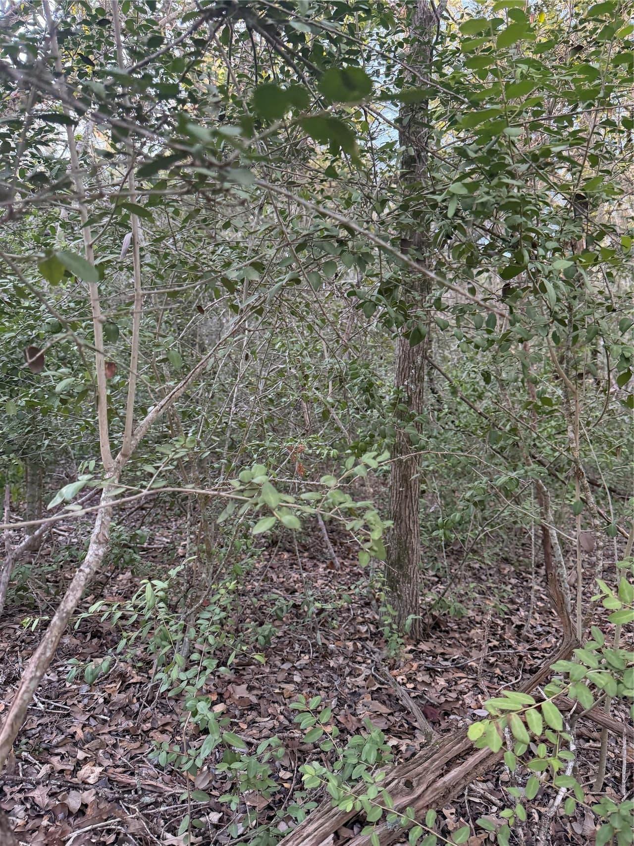 Lot 608  Waimanalo Dr photo 5