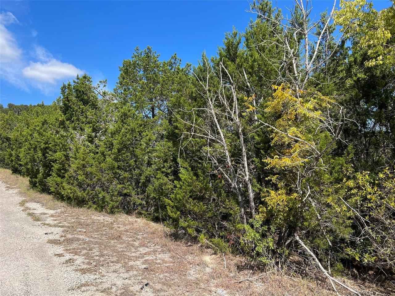 20700  Overland Trl photo 6