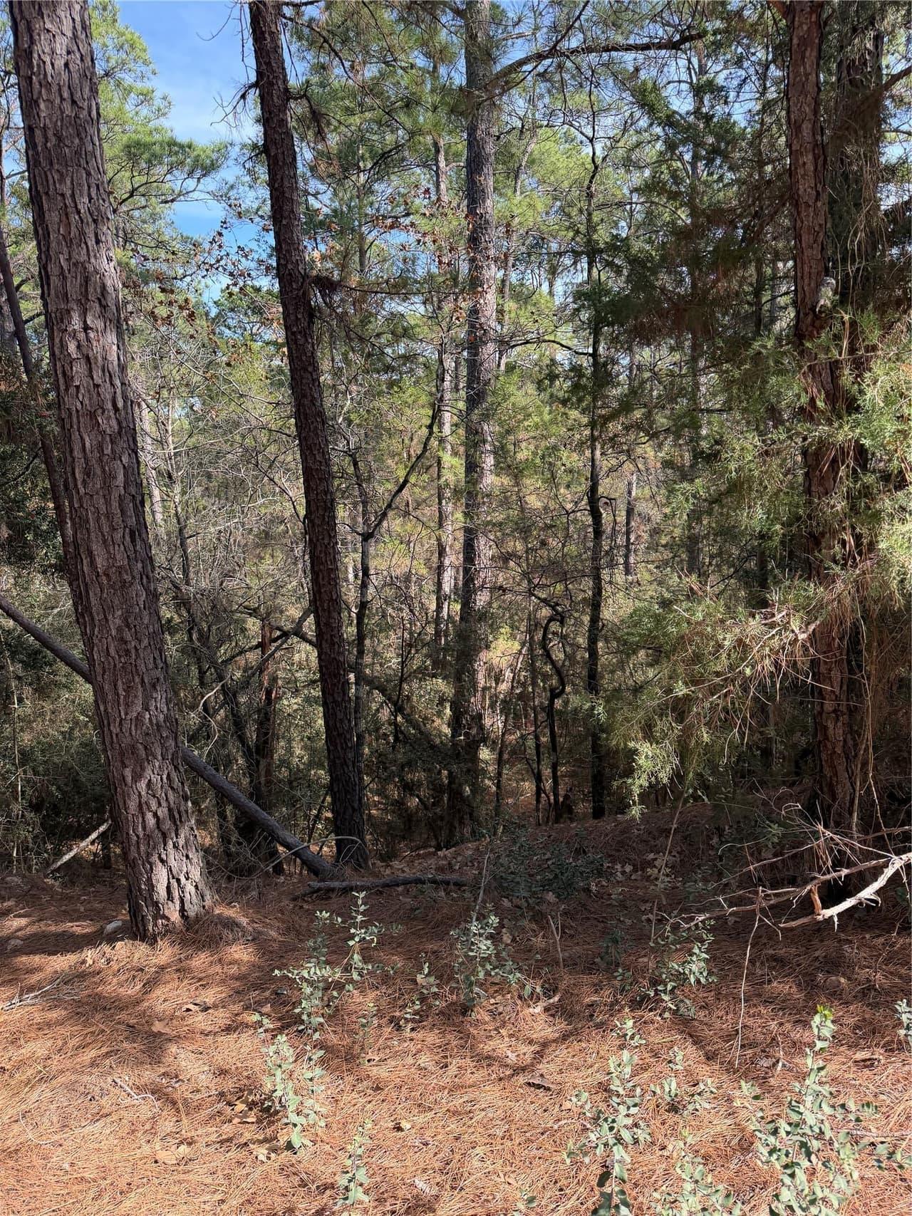Lot 266  Wainee Dr photo 3