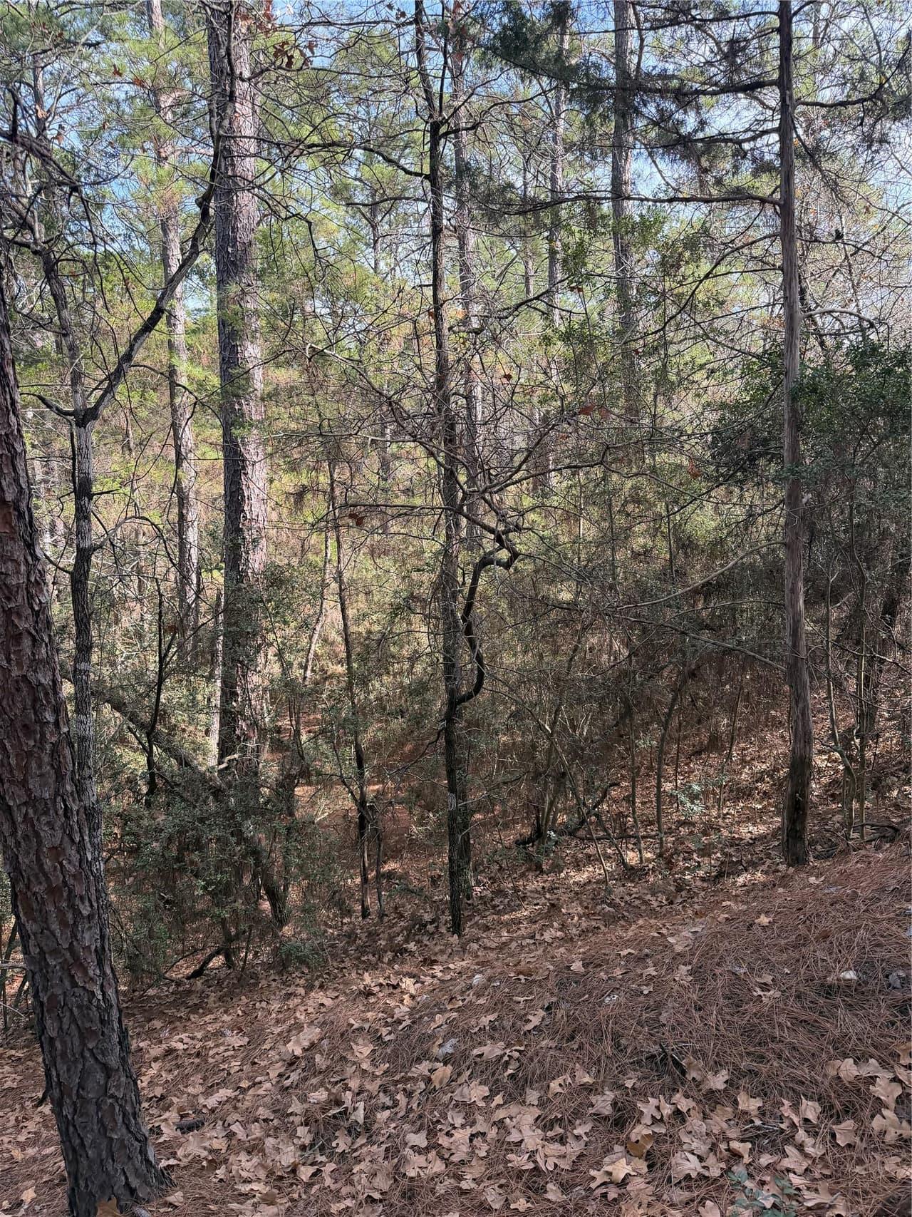 Lot 266  Wainee Dr photo 4
