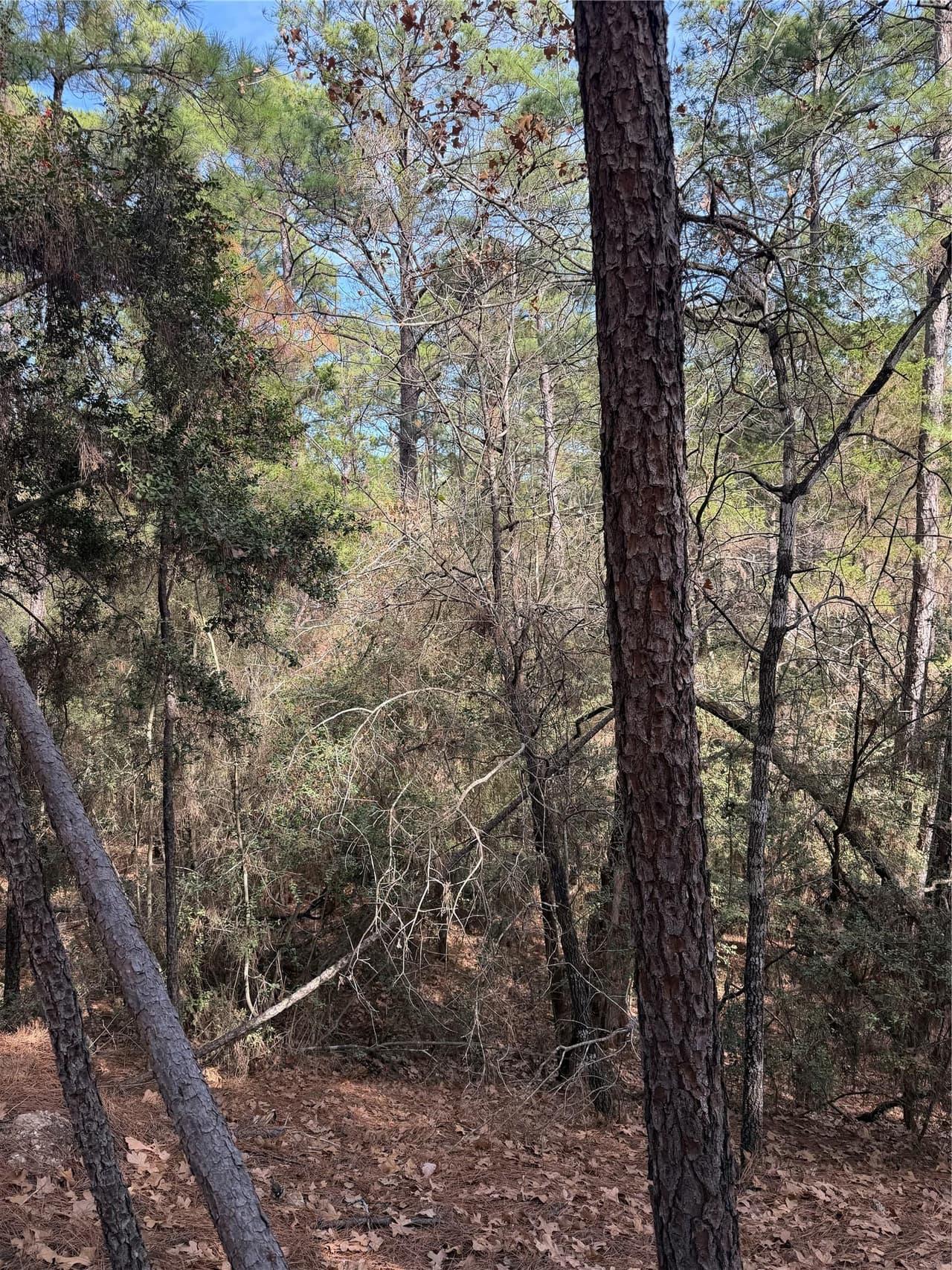 Lot 266  Wainee Dr photo 5
