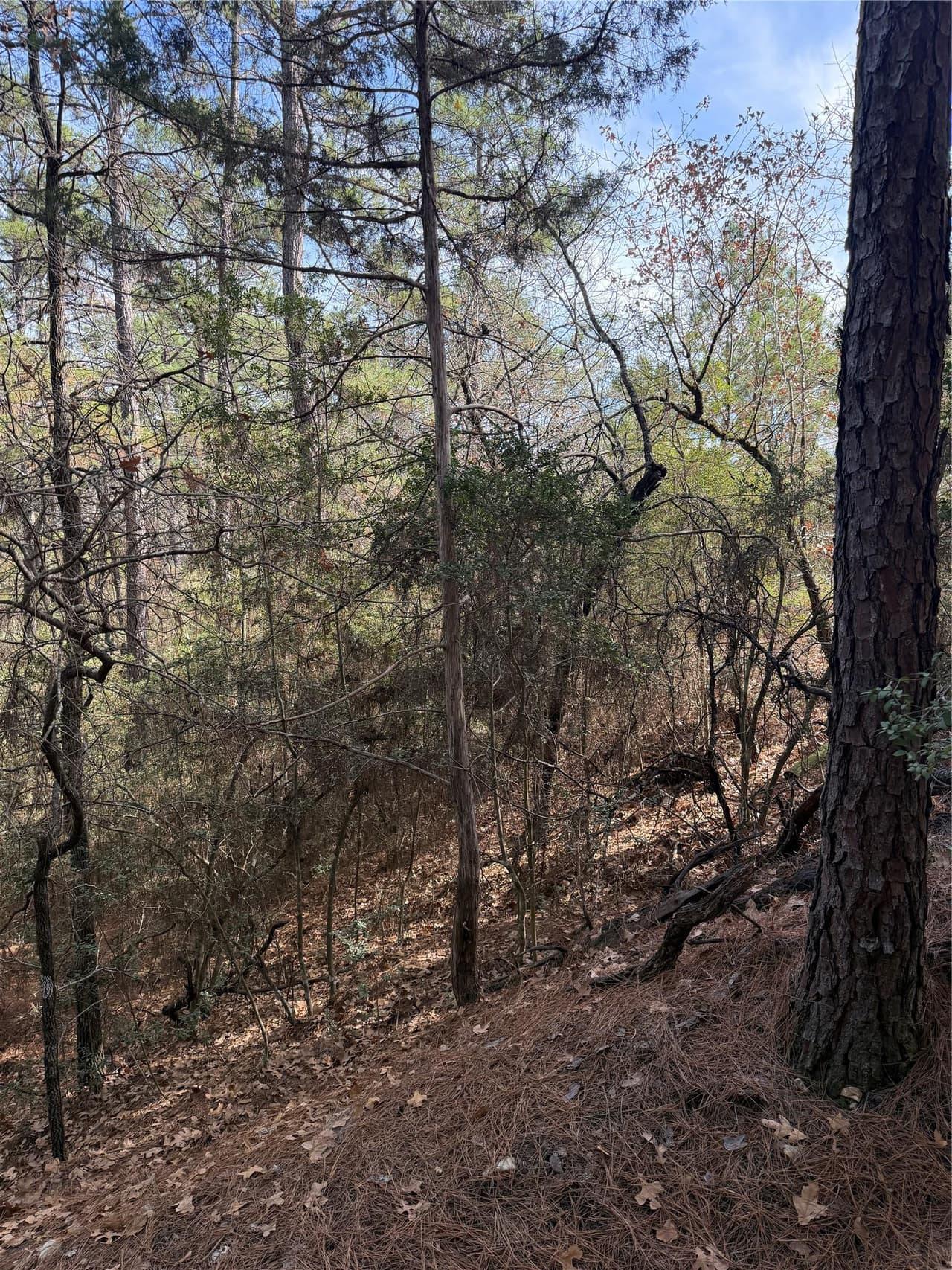 Lot 266  Wainee Dr photo 6