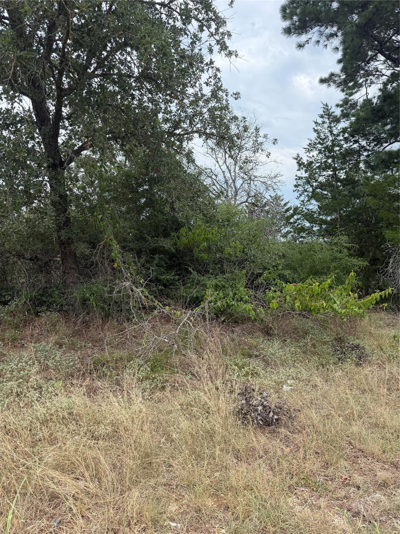 Lot 236  Kaelupulu Dr photo 2