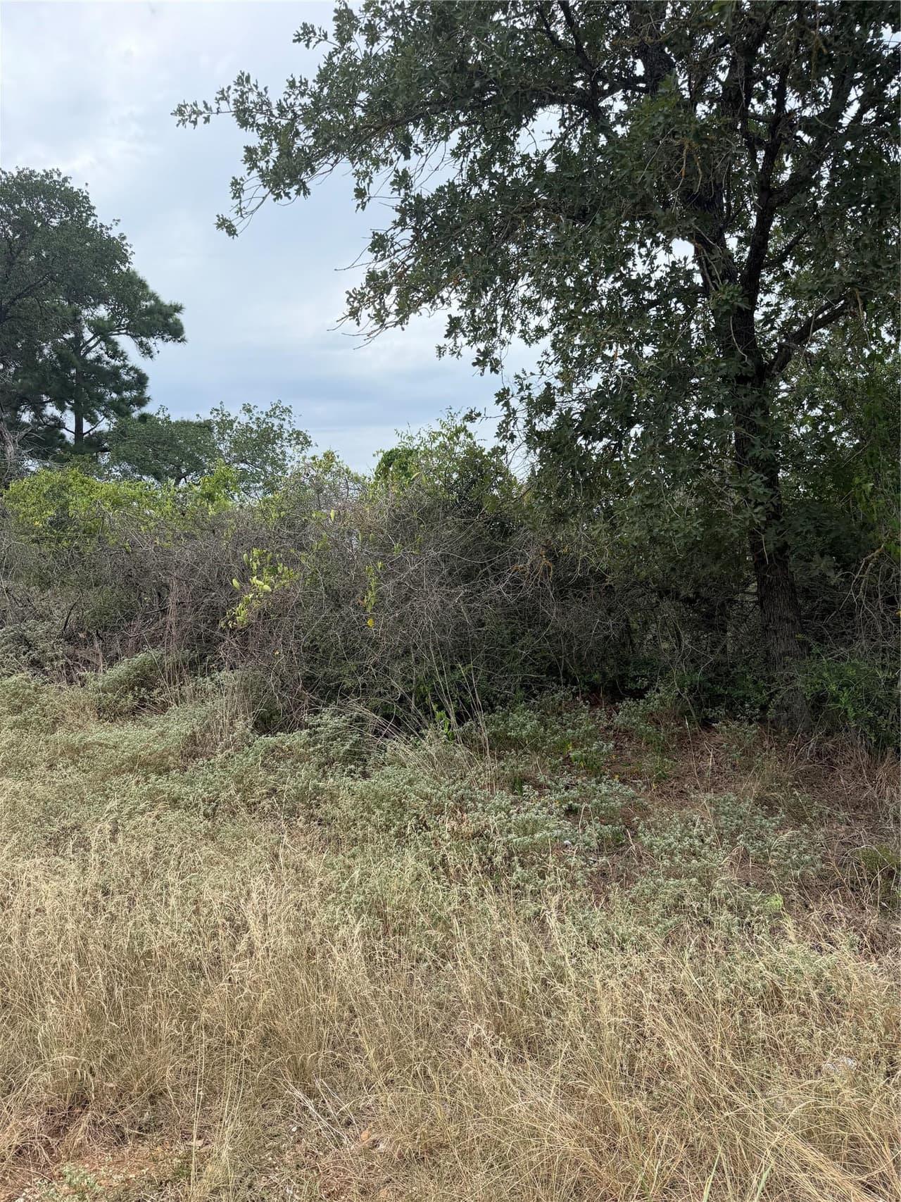 Lot 236  Kaelupulu Dr photo 3