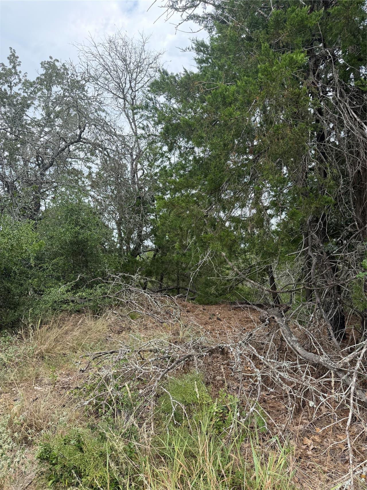 Lot 236  Kaelupulu Dr photo 4