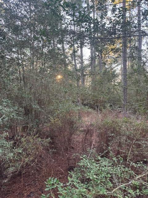 103  Lake Point Way photo 2