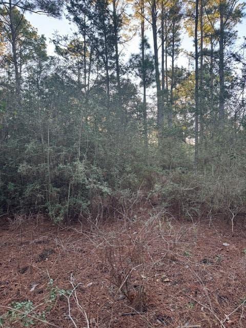 103  Lake Point Way photo 4