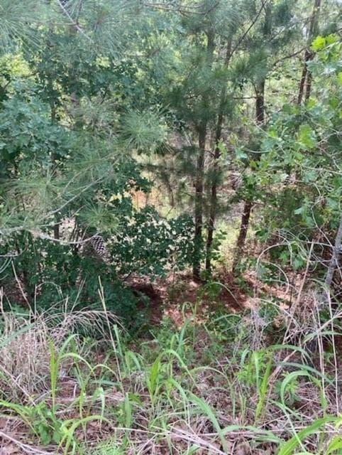 Lot 4  Kainalu Ln photo 6