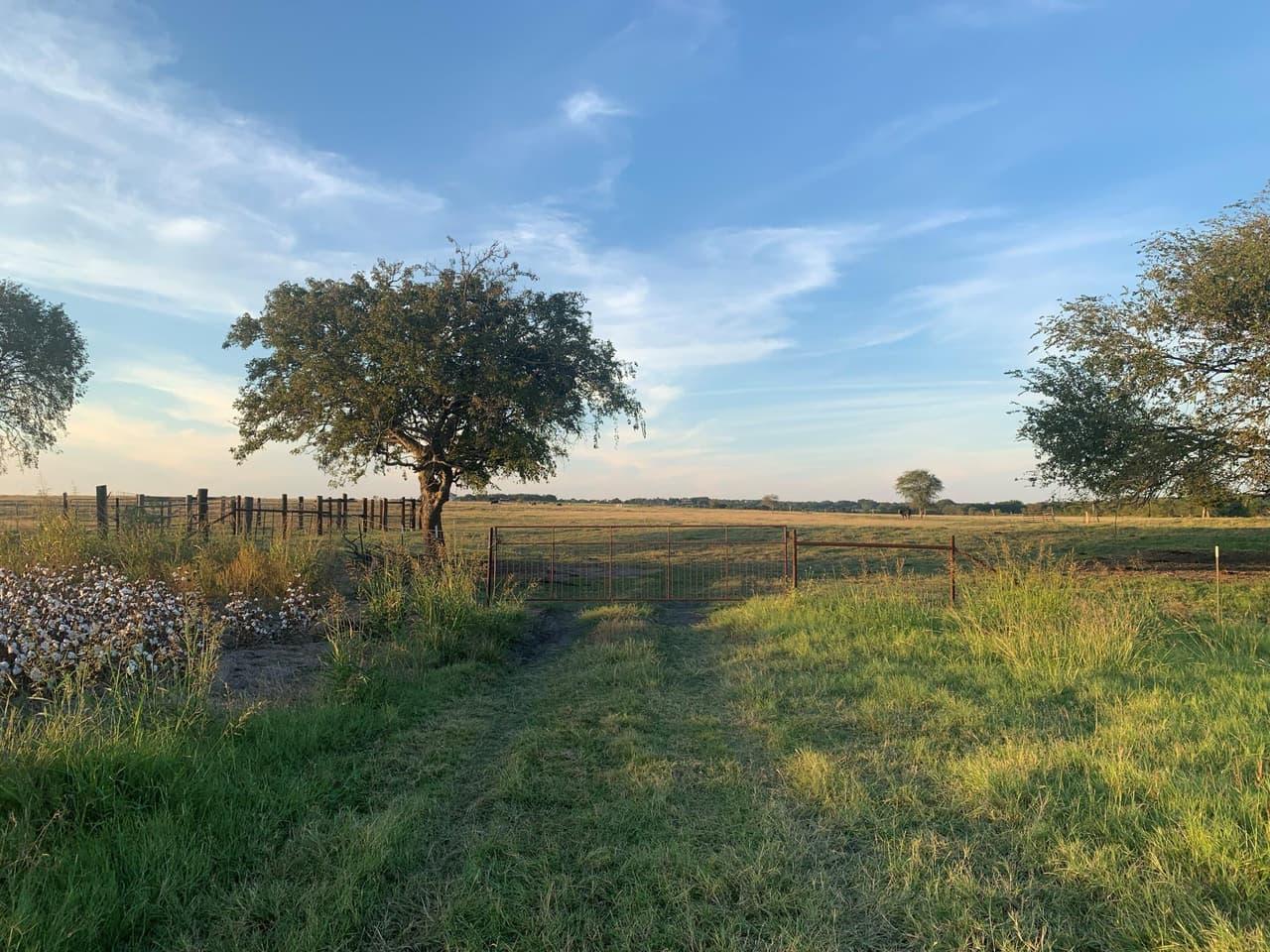 TBD2  County Road 154 None