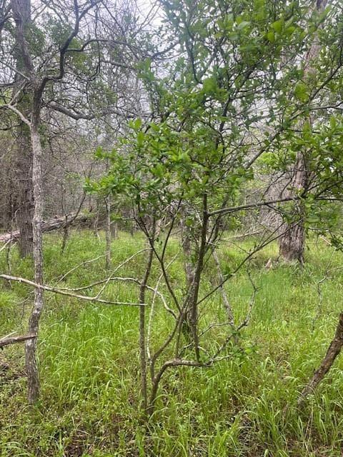 Lot 628  Hilea Ct