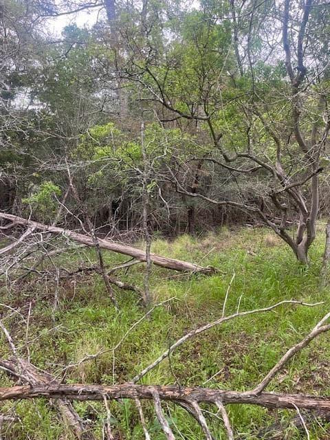 Lot 628  Hilea Ct photo 4