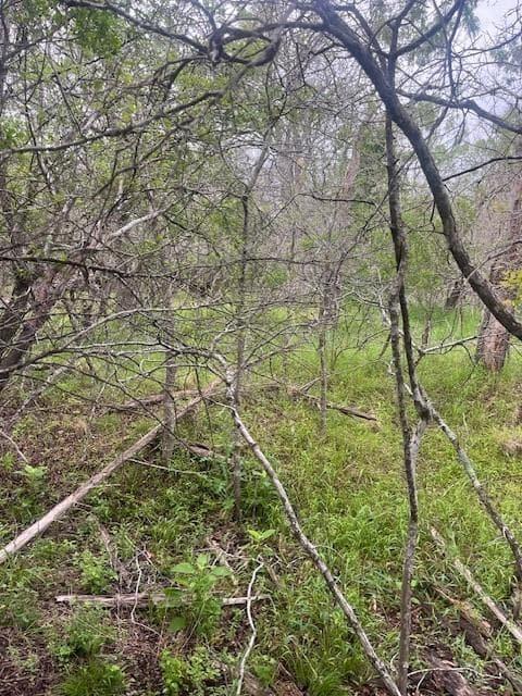 Lot 628  Hilea Ct photo 5