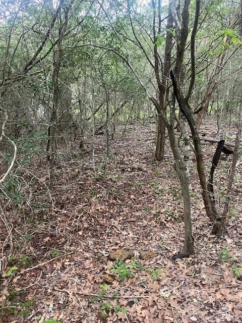 Lot 628  Hilea Ct photo 6