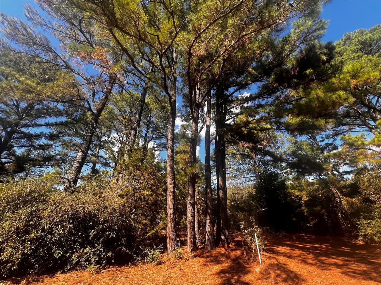 411  Laura Ln photo 2