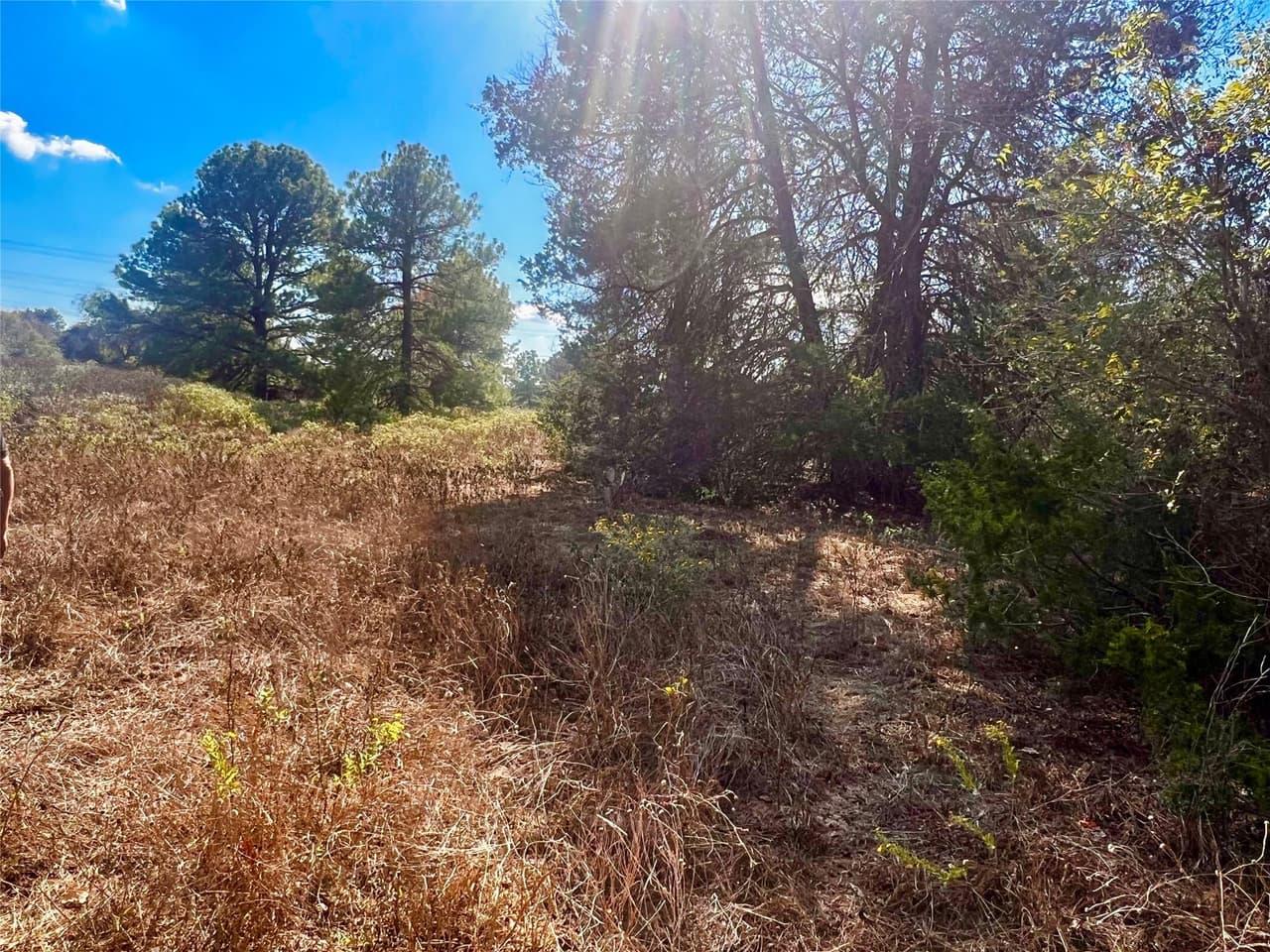 411  Laura Ln photo 6