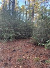 107  Lake Point Way photo 2
