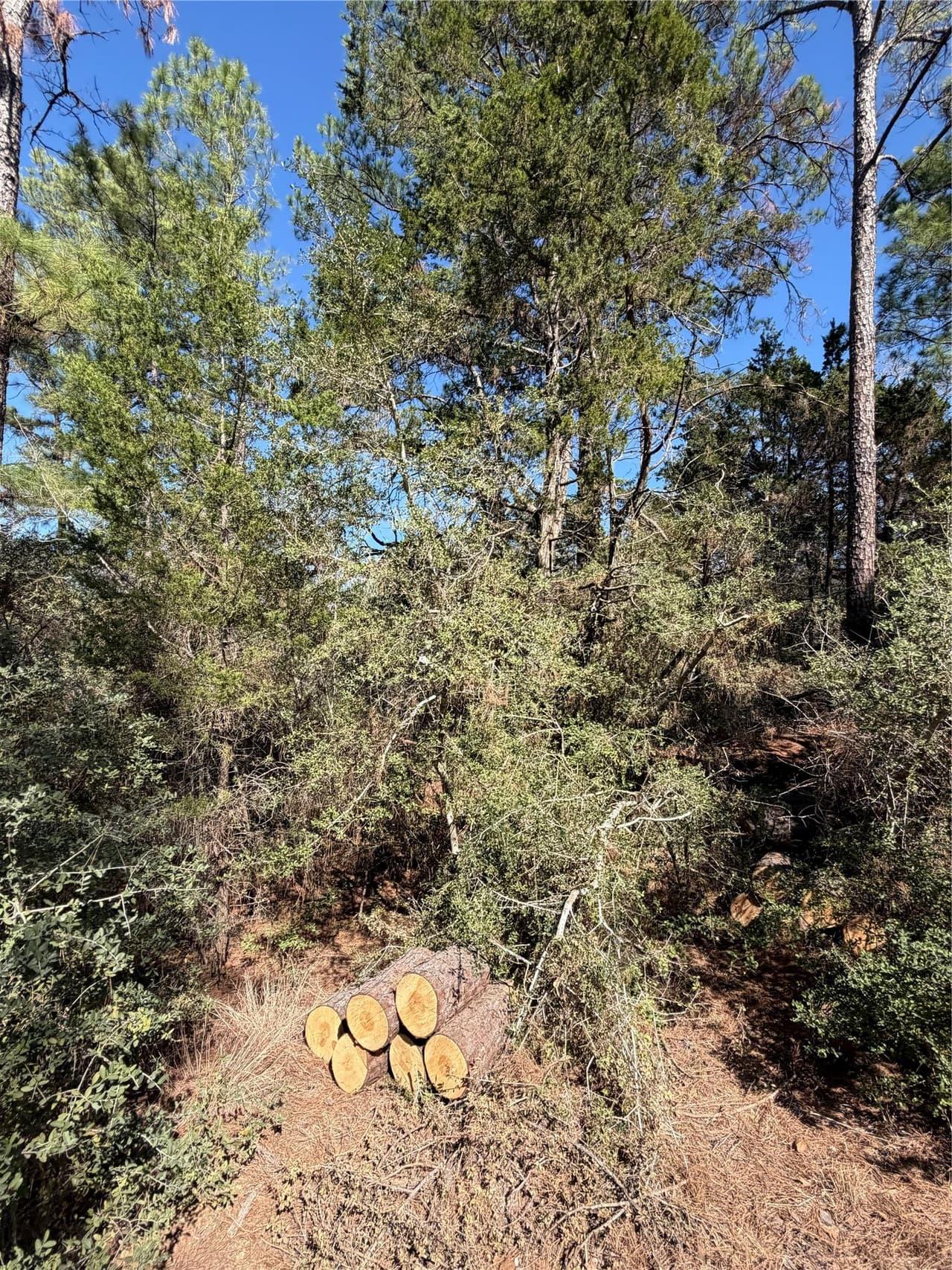 Lot 320  Keneka Ln photo 2