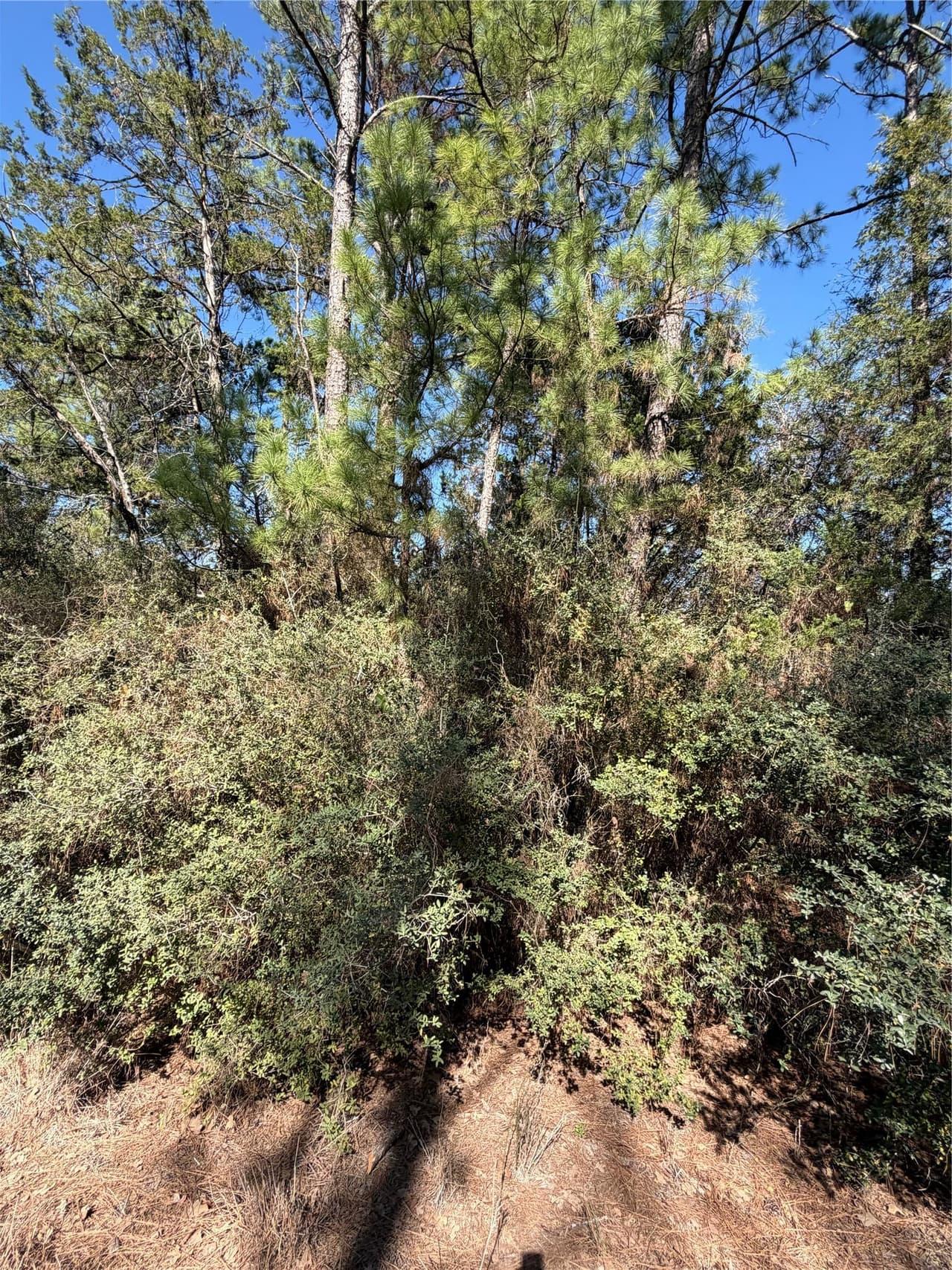 Lot 320  Keneka Ln photo 3