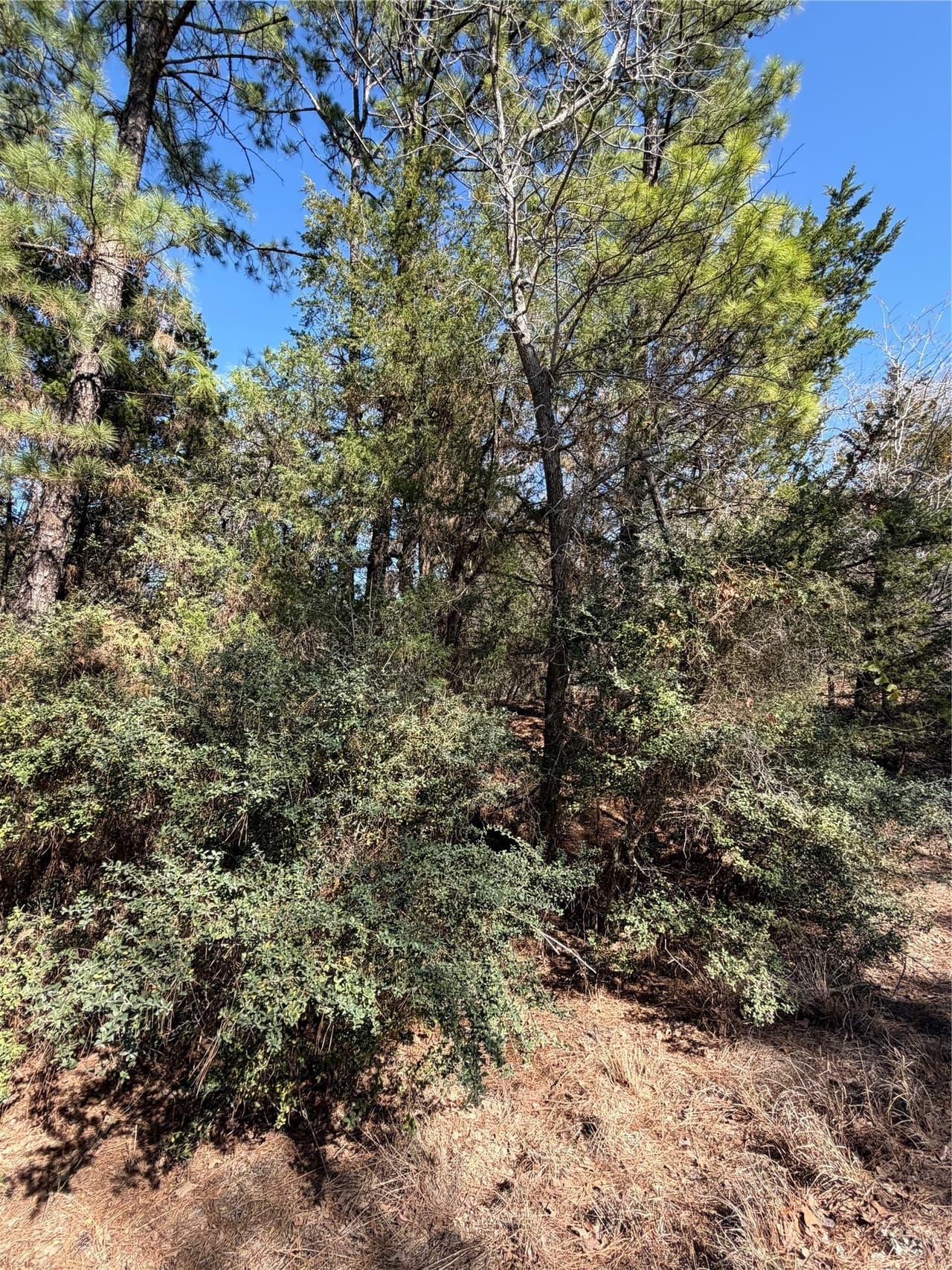 Lot 320  Keneka Ln photo 4