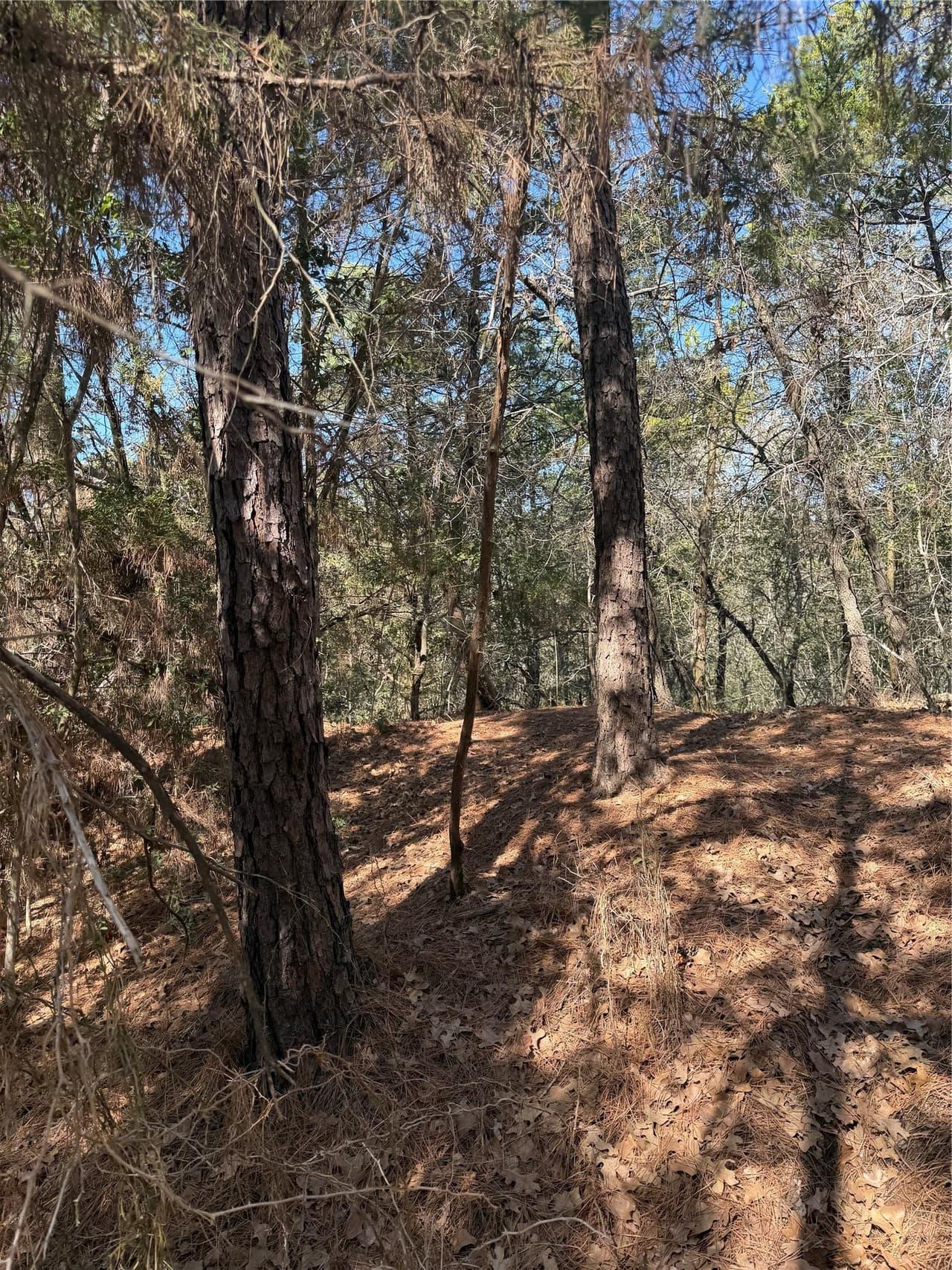 Lot 320  Keneka Ln photo 6