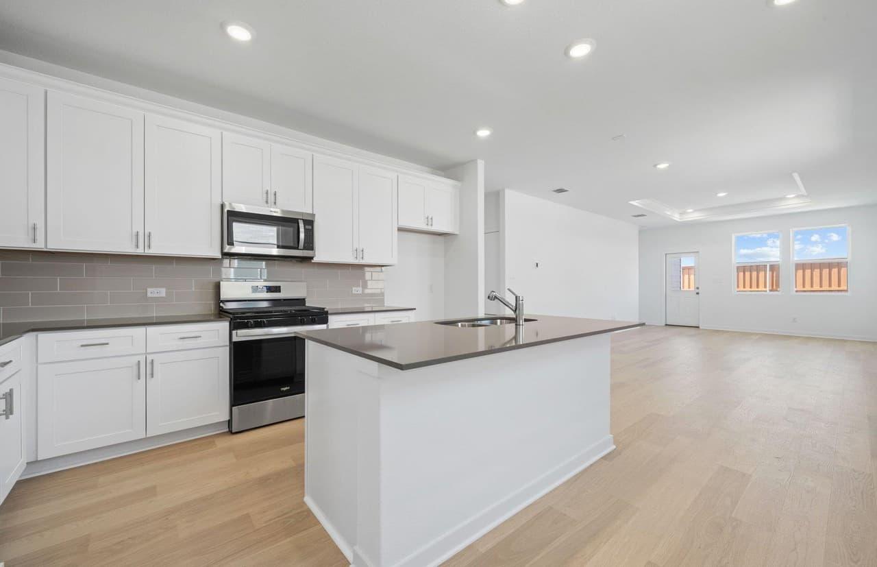 728  Rubber Tree Way photo 4