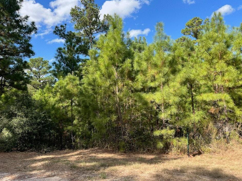 Lot 986  Kailua L Ln