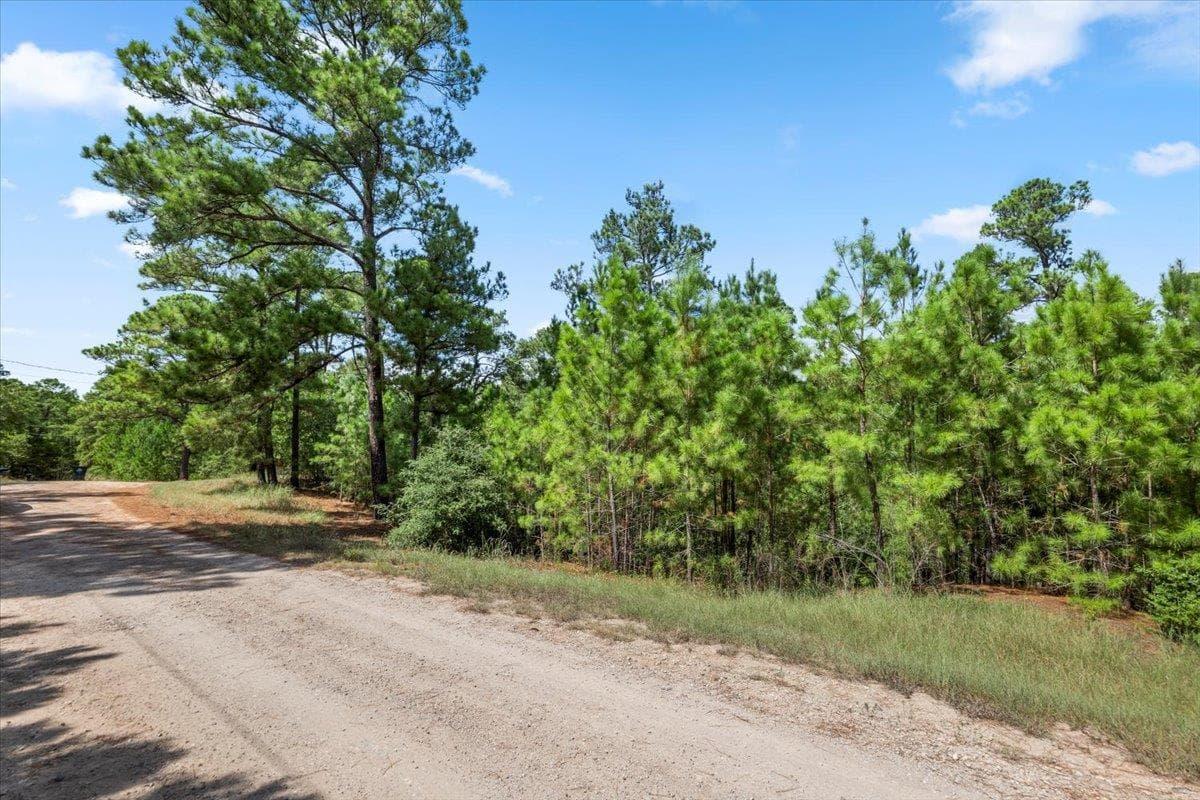 Lot 986  Kailua L Ln photo 3