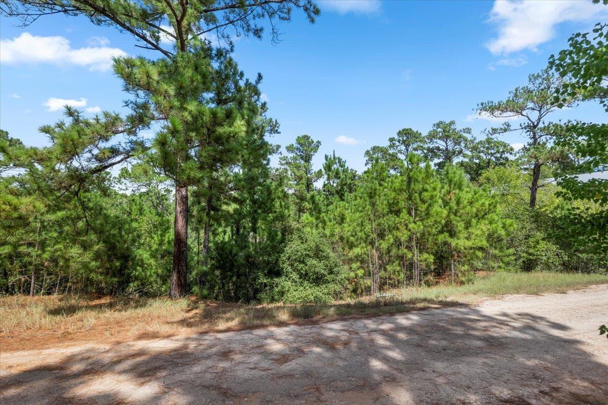 Lot 986  Kailua L Ln photo 5