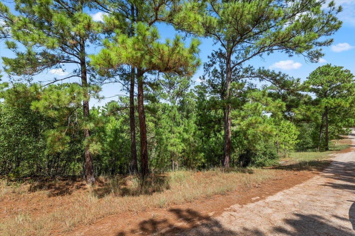 Lot 986  Kailua L Ln photo 6