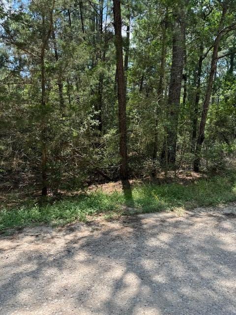 Lot 250  Hekili Dr