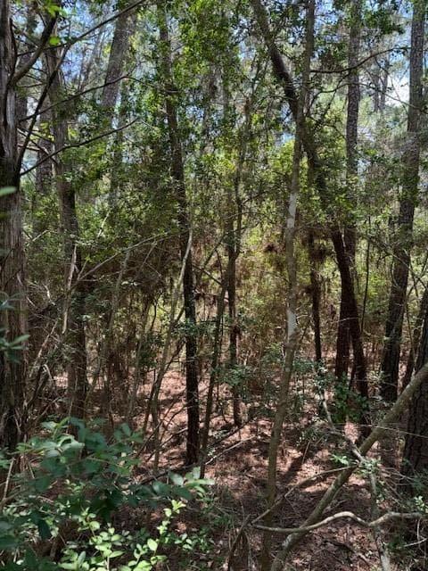 Lot 250  Hekili Dr photo 2