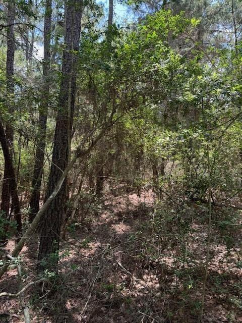 Lot 250  Hekili Dr photo 3