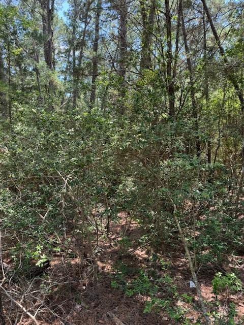 Lot 250  Hekili Dr photo 4