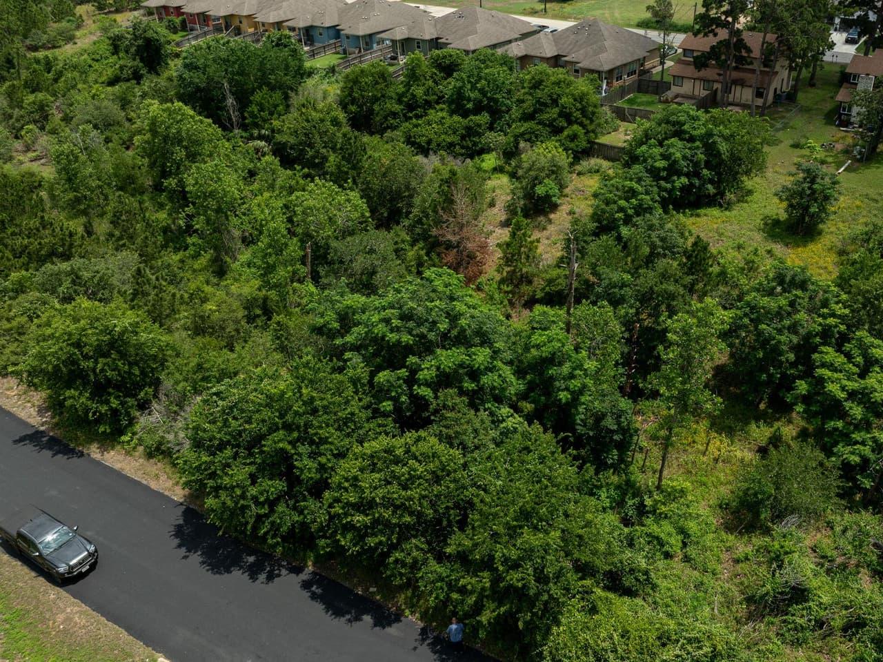 TBD  Pahala Ct photo 4